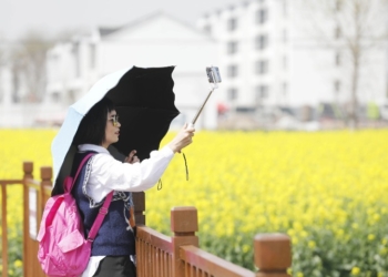 Flower tourism helps Baofeng's economy bloom in Henan