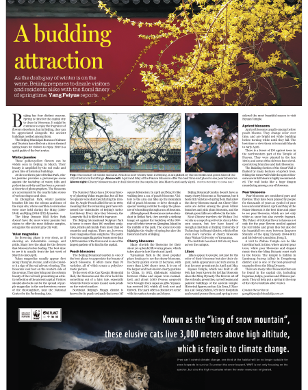 A budding attraction - Chinadaily.com.cn