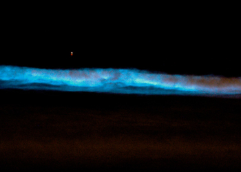 WATCH: Bioluminescent Waves Light Up Sanya Surfer