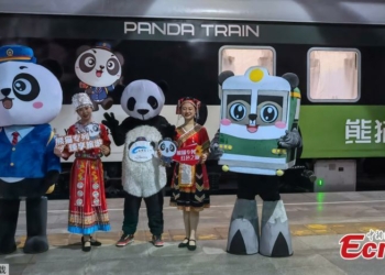 China's first panda-themed tourist train starts operation in Sichuan