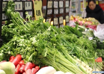 A citizen buys vegetables at a supermarket in Handan City, north China's Hebei Province, Jan. 9, 2020. China's consumer price index (CPI), a main gauge of inflation, rose 2.9 percent year on year in 2019, within government target of 3 percent, official data showed Thursday. (Photo: Xinhua)