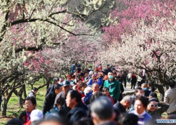 Tourists visit the Meihuashan (Plum Blossom Hill) scenic area in Nanjing, east China's Jiangsu Province, Feb. 19, 2021. A festival featured with plum blossom kicked off here on Friday.Photo:Xinhua