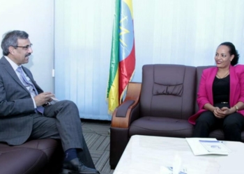 Ethiopia Keen to Strengthen Ties with Pakistan- Deputy Speaker -