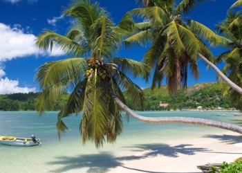 Seychelles South Africa