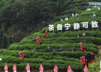 People attend a tea culture festival in Zhongyi Village under Dazu District of southwest China's Chongqing Municipality on March 18, 2021. The cultural event is aimed at promoting local tourism. Photo: Xinhua