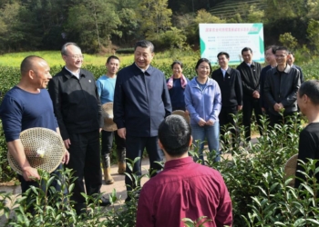 Xi Stresses More Efforts to Serve, Integrate into New Development Paradigm