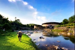 Online exhibition on Yongding's tulou shown in S Korea