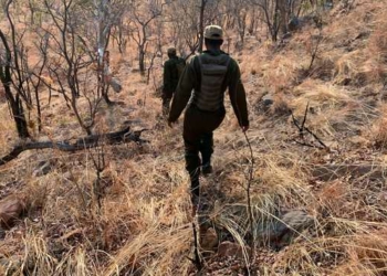 Meet the African women who are giving their all to protect wildlife from extinction