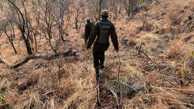 Meet the African women who are giving their all to protect wildlife from extinction