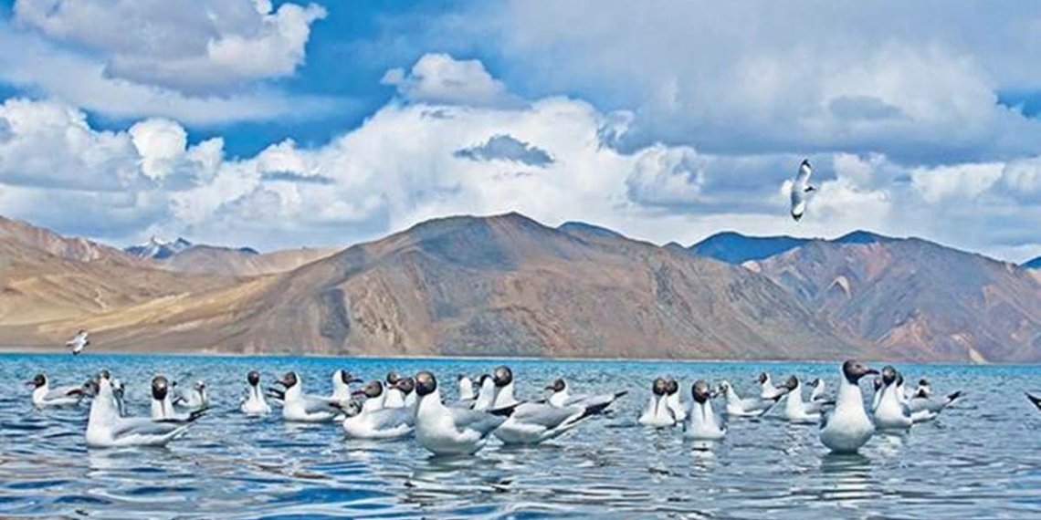 3 day mega tourism event Ladakh New Start New Goals begins - Travel News, Insights & Resources.