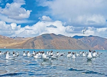 3 day mega tourism event Ladakh New Start New Goals begins - Travel News, Insights & Resources.