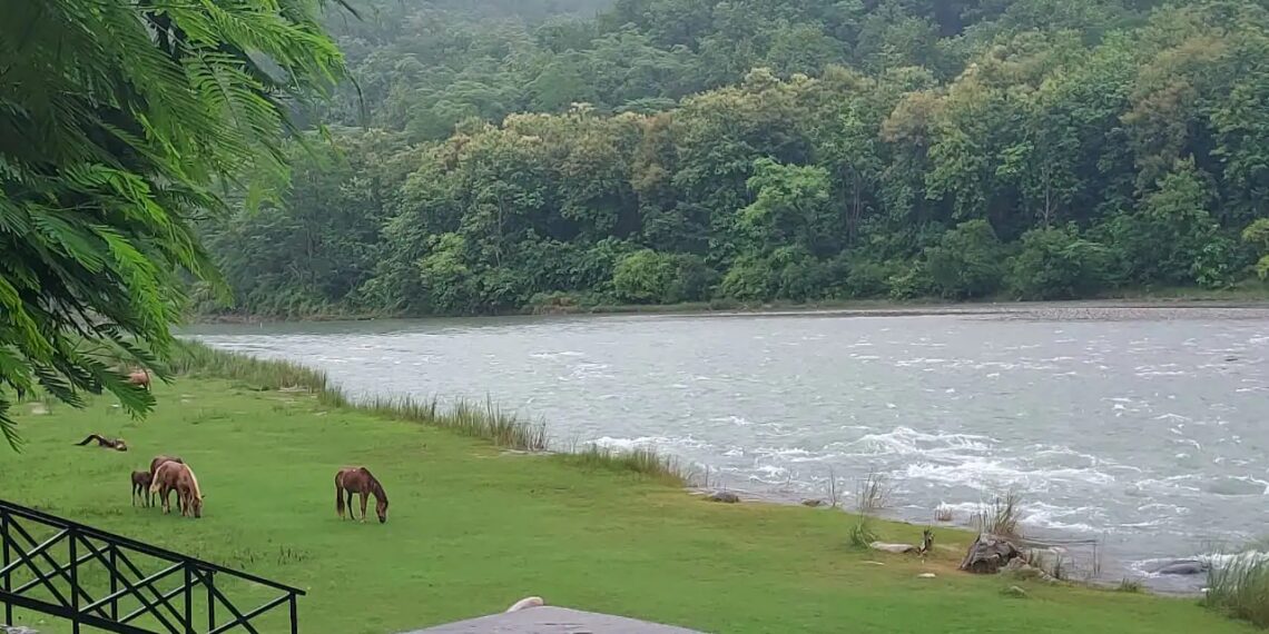 An Idyllic Setting with Best View in Corbett The Riverview - Travel News, Insights & Resources.