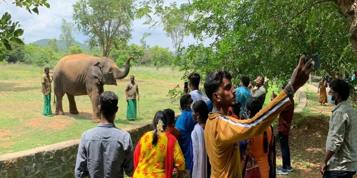 Vandalur zoo Tamil Nadu reopens after 127 days Follow these - Travel News, Insights & Resources.