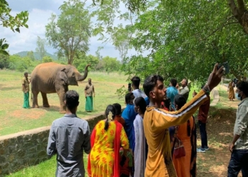 Vandalur zoo Tamil Nadu reopens after 127 days Follow these - Travel News, Insights & Resources.