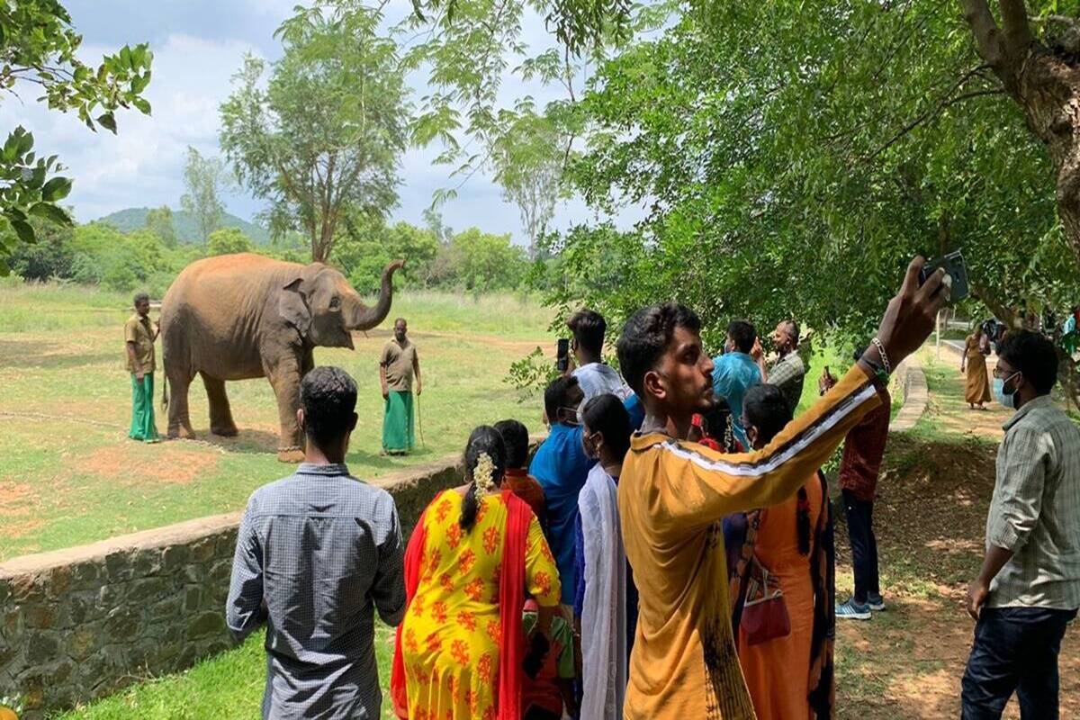 Vandalur zoo tamil nadu