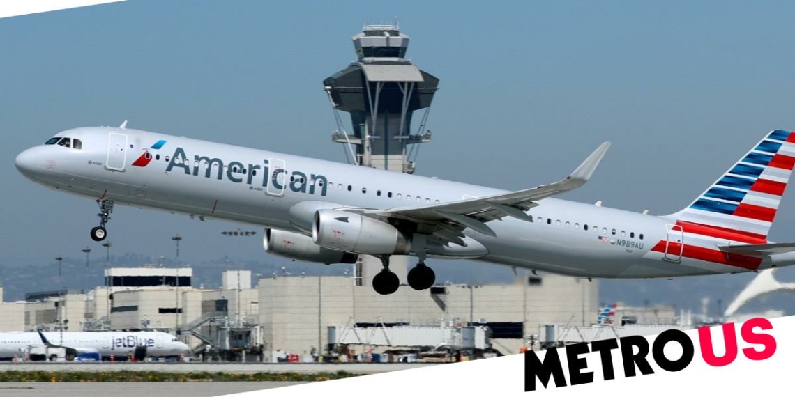 American Airlines passenger fined 23K after hitting attendant over seat - Travel News, Insights & Resources.