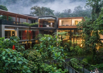 6 Gorgeous Rain Forest Hotels — From Glamping Retreats to - Travel News, Insights & Resources.