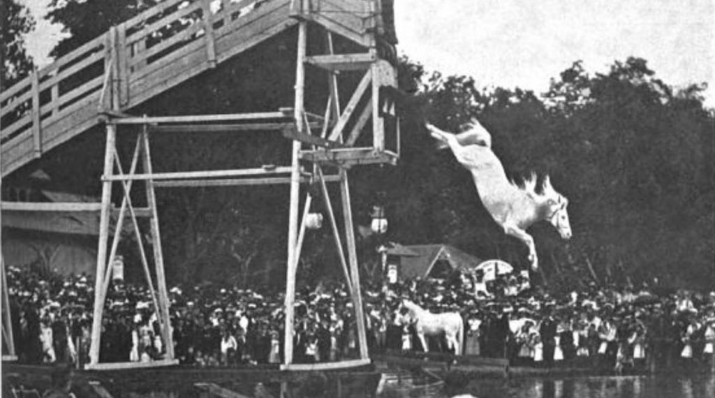 The strange cruel spectacle of horse diving once drew big - Travel News, Insights & Resources.