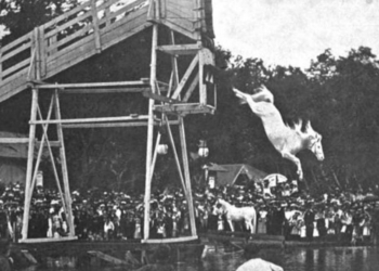 The strange cruel spectacle of horse diving once drew big - Travel News, Insights & Resources.