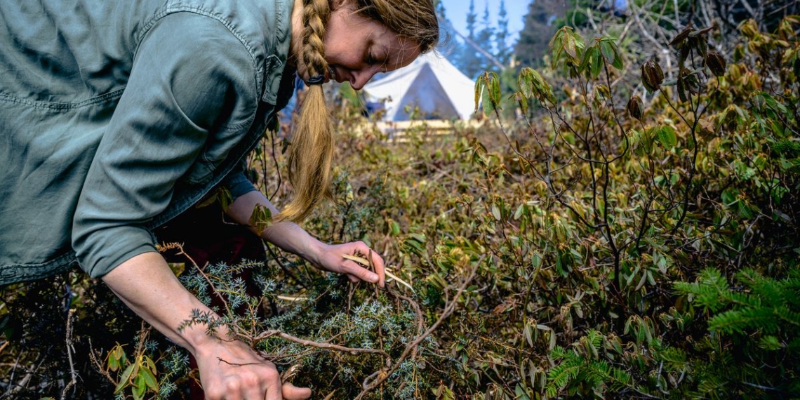 The wilds of Newfoundland provide a vast tapestry of food - Travel News, Insights & Resources.