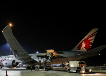 Qatar Airways Cargo transported 190 horses from US Asia and - Travel News, Insights & Resources.