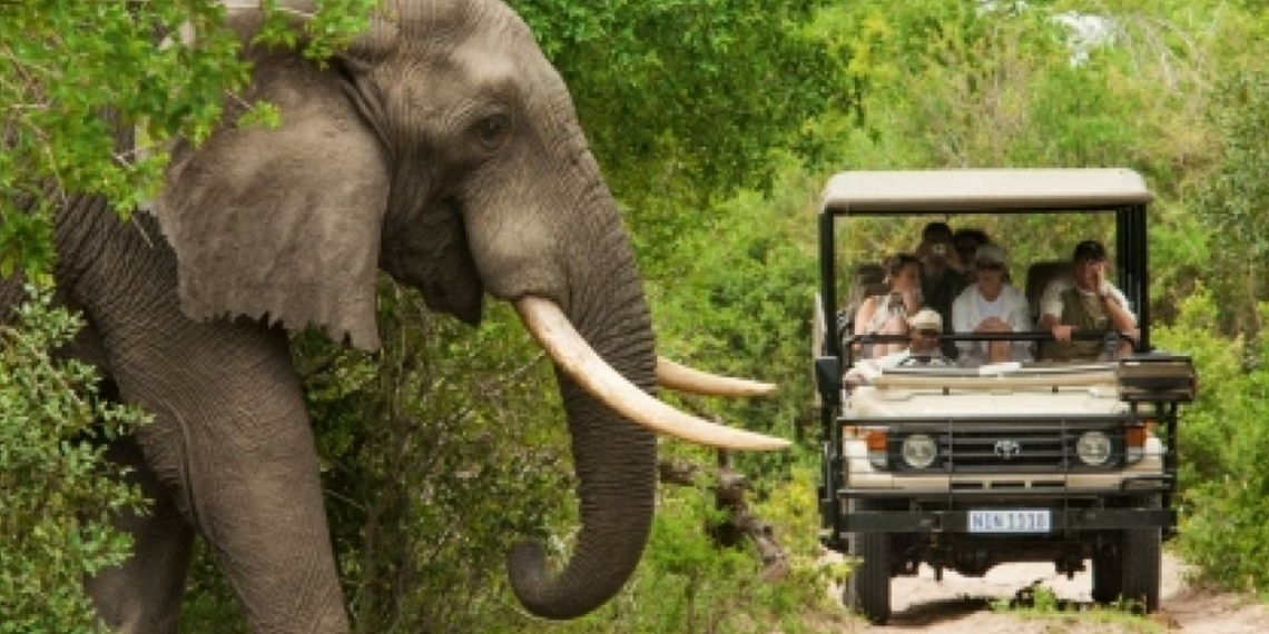 South Africas tourism sector is experiencing a shift from foreigners - Travel News, Insights & Resources.