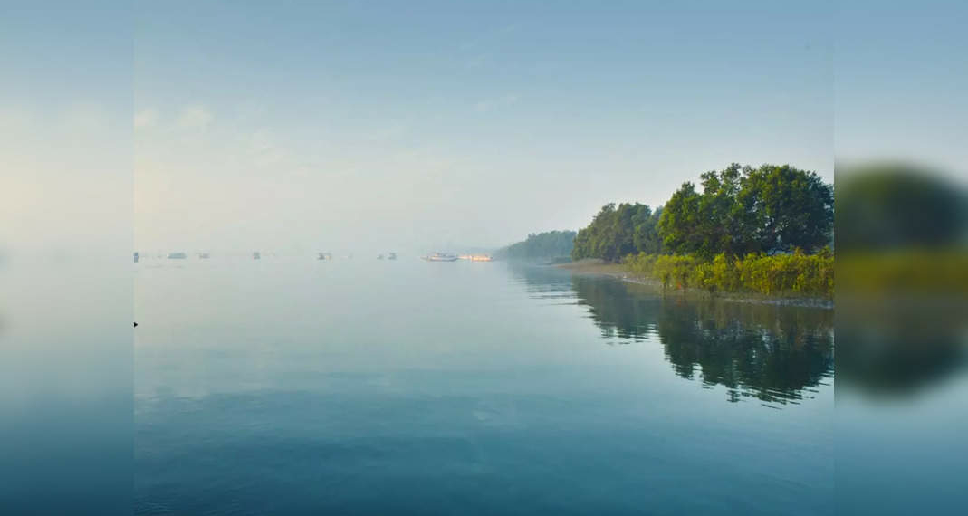 Sundarbans to get new tourism infrastructure - Travel News, Insights & Resources.