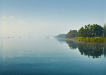 Sundarbans to get new tourism infrastructure - Travel News, Insights & Resources.