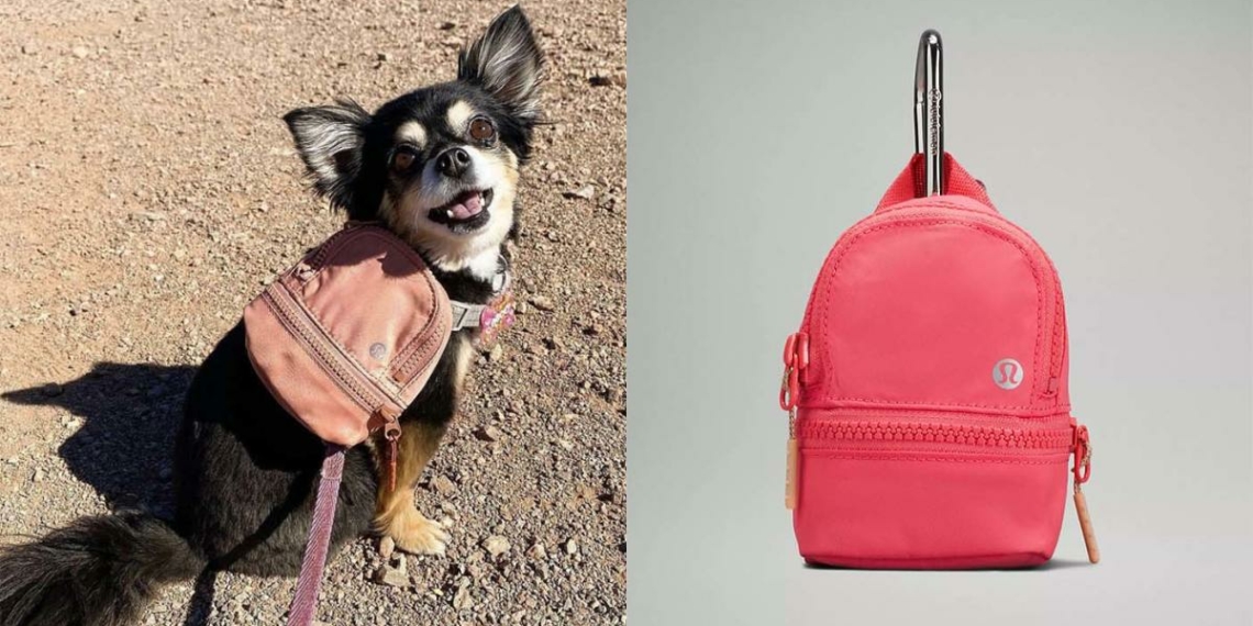 This tiny 34 Lululemon backpack is trending on TikTok — - Travel News, Insights & Resources.