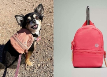 This tiny 34 Lululemon backpack is trending on TikTok — - Travel News, Insights & Resources.