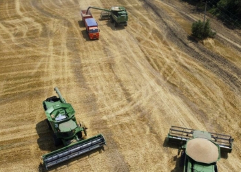 War in Ukraine to hurt poor nations importing grain - Travel News, Insights & Resources.