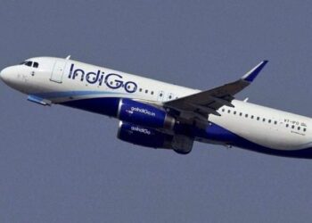 IndiGo names Pieter Elbers as new CEO Dutta to retire - Travel News, Insights & Resources.