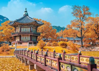 Delta Resumes All Nonstop Flights To South Korea - Travel News, Insights & Resources.