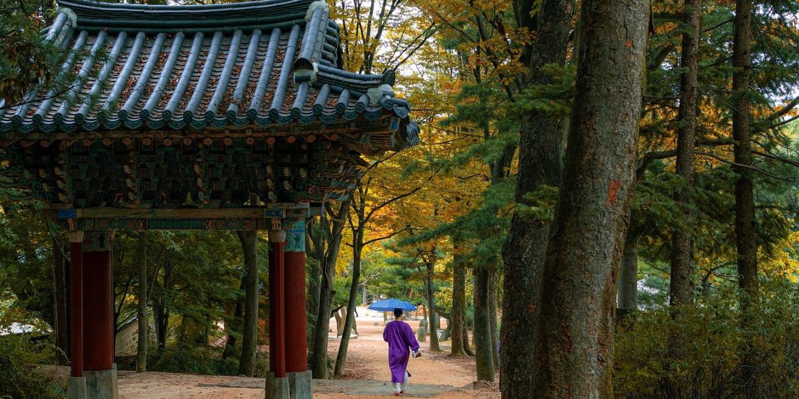 Finally We Can Travel to South Korea Again Starting June - Travel News, Insights & Resources.