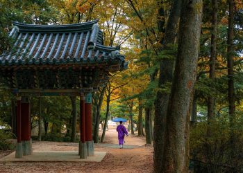 Finally We Can Travel to South Korea Again Starting June - Travel News, Insights & Resources.