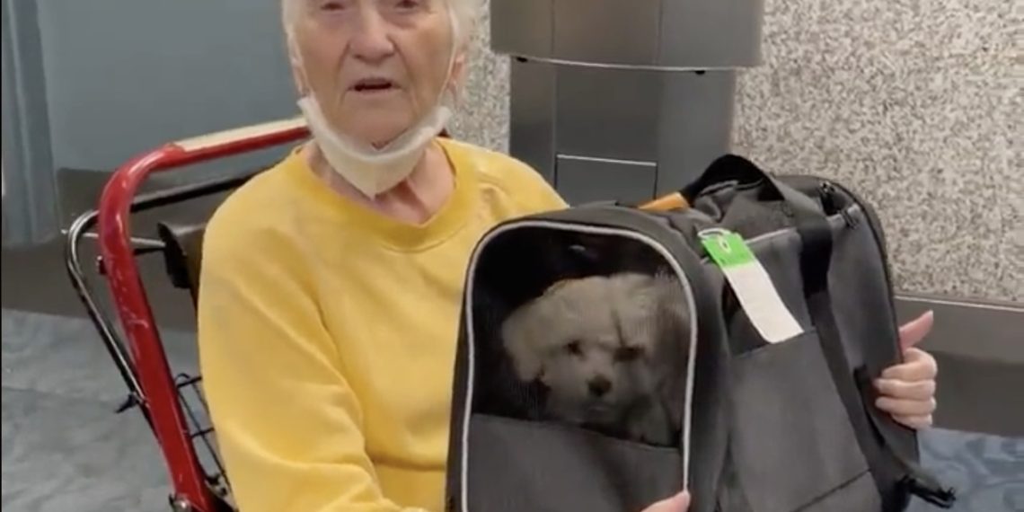 88 Year Old Thrown Off Delta Flight After Captain Says Her Dog - Travel News, Insights & Resources.