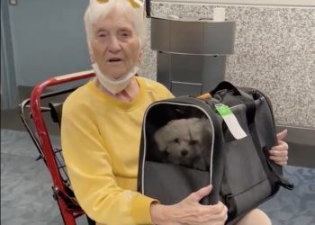 88 Year Old Thrown Off Delta Flight After Captain Says Her Dog - Travel News, Insights & Resources.