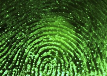 American Airlines Carrier Settles Worker Biometric Privacy Suit - Travel News, Insights & Resources.