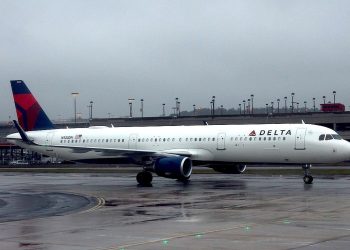 Delta A321 Rejects Denver Takeoff As Bird Strike Prompts Engine - Travel News, Insights & Resources.