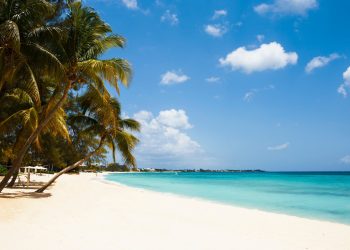 Grand Cayman from Boston Los Angeles and New York City - Travel News, Insights & Resources.