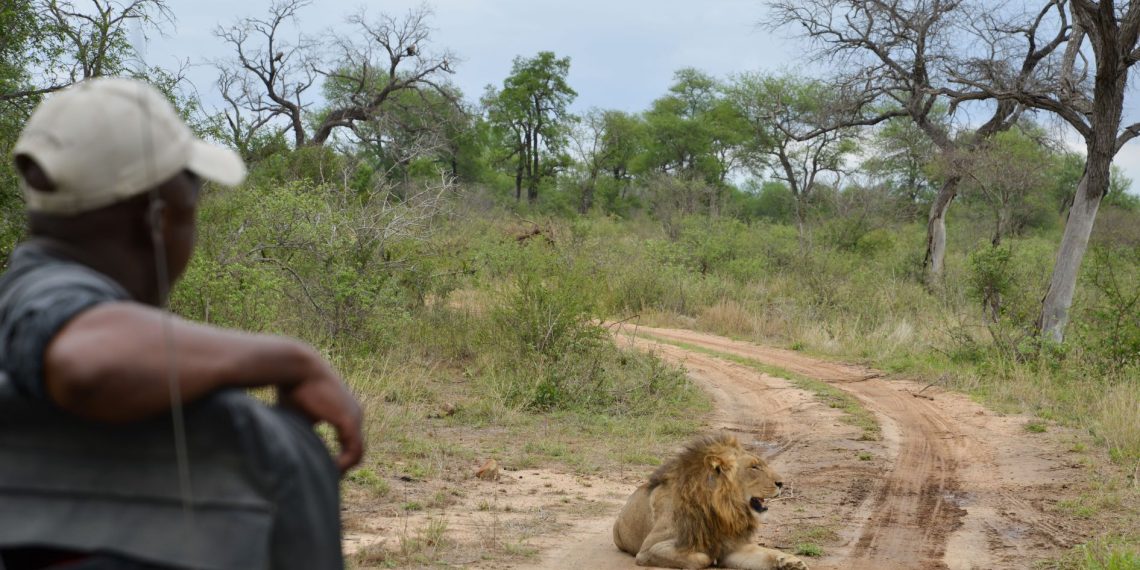 Second Field Guide College to open in Kruger - Travel News, Insights & Resources.