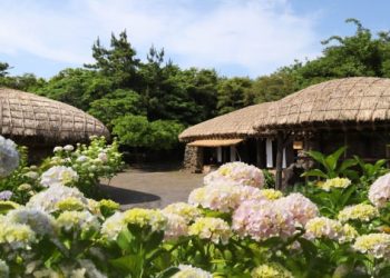 South Koreas Jeju pushing to adopt e travel authorization system for - Travel News, Insights & Resources.