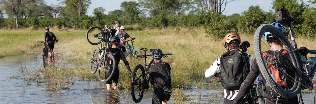 Take a ride on the wild side in Okavango - Travel News, Insights & Resources.