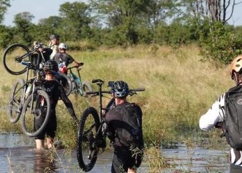 Take a ride on the wild side in Okavango - Travel News, Insights & Resources.