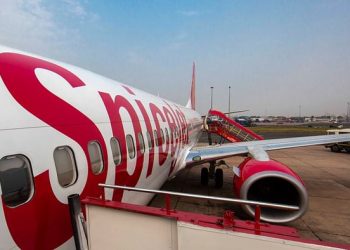 Why SpiceJet share zoomed 42 in 4 sessions - Travel News, Insights & Resources.