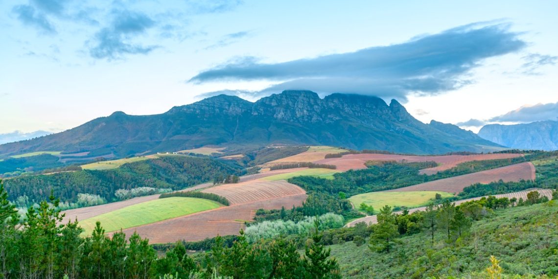 Wine routes bootcamp coming to Stellenbosch - Travel News, Insights & Resources.