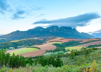 Wine routes bootcamp coming to Stellenbosch - Travel News, Insights & Resources.