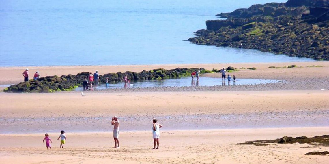 Worlds longest animal found on UK beach has ‘beauty and - Travel News, Insights & Resources.