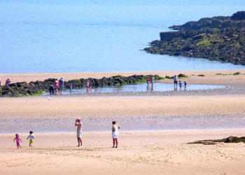 Worlds longest animal found on UK beach has ‘beauty and - Travel News, Insights & Resources.