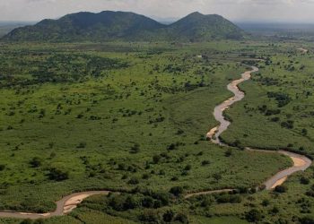 African Parks to manage South Sudan parks - Travel News, Insights & Resources.